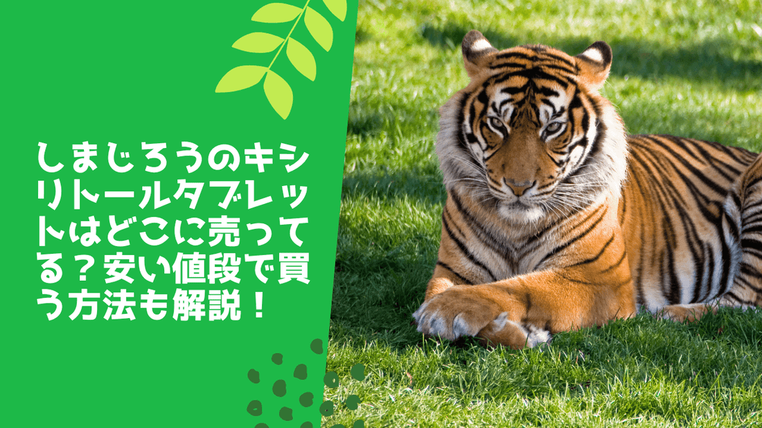 しまじろうのキシリトールタブレットはどこに売ってる?安い値段で買う方法も解説!