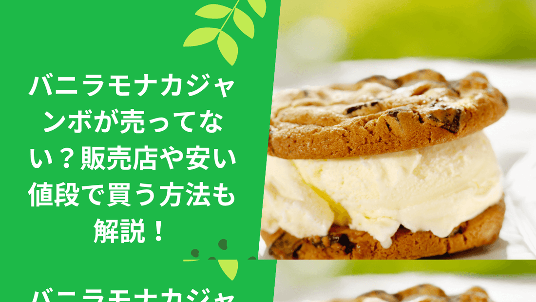 バニラモナカジャンボが売ってない?販売店や安い値段で買う方法も解説!