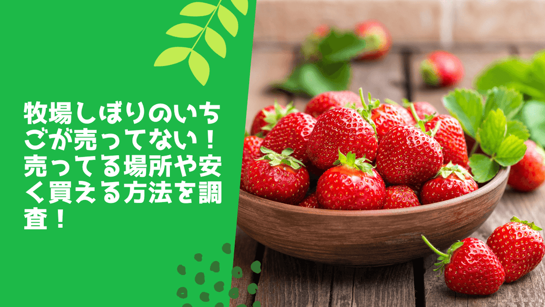 牧場しぼりのいちごが売ってない!売ってる場所や安く買える方法を調査!