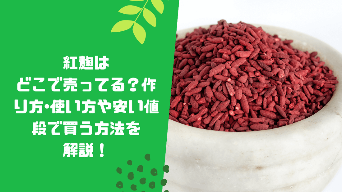 紅麹はどこで売ってる?作り方・使い方や安い値段で買う方法を解説!
