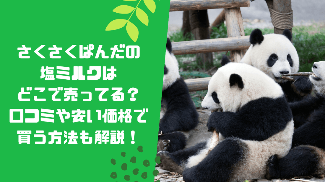 さくさくぱんだの塩ミルクはどこで売ってる?安い値段で買う方法も解説!