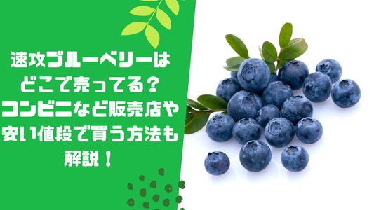 速攻ブルーベリーはどこで売ってる？